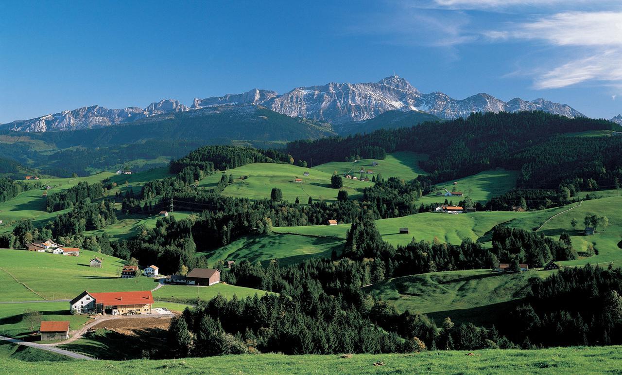 Hotel Landhaus Saentis ヘリザウ エクステリア 写真